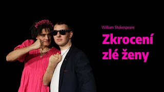 Zkrocení zlé ženy